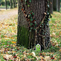 Miniatyrbild 3 av 5: Fe dörr, mus dörr, hantverk dörr 3d dekoration Pixy dörr S