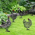Miniatyrbillede 3 af 5: 5PC Havehavehøne, Kyllingegård Kunst Have Plæne Gulv Dekoration, En