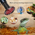 Miniatyrbilde 2 av 4: Reptilvarmelampe Svart Keramisk 100W Infrarød Lampe Reptilvarmelampe 110V