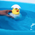 Miniatyrbillede 3 af 4: Spraybare badelegetøj multifunktionelt æg vandsprinkler badeværelse