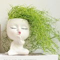 Miniatyrbillede 2 af 3: Harpiks Blomsterpot Ansigt til Havedekoration Mannequin Stil