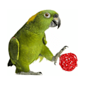 Pikkukuva 2 / 5: Puresu Lelut Puresu Pallo Puresu Pallo Lelut Sepak Puresu Lelut Papageijoille Rakastajalinnut Papageijat Rakastajalinnut DIY Tarvikkeet 10kpl Ole Bird Lelut (Satunnainen Väri)