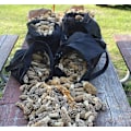 Miniatyrbillede 4 af 4: Svampejagt Taske, Mesh Høsttaske, Foldbar Foraging Taske, Foldbar Høsttaske til Frugtplukning (Sort)