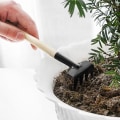 Miniatyrbilde 4 av 5: 3 hageverktøy, liten spade, rive og planter i treformet håndtak