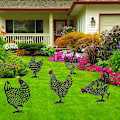 Miniatyrbillede 4 af 5: 5PC Havehavehøne, Kyllingegård Kunst Have Plæne Gulv Dekoration, En