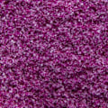Pikkukuva 2 / 4: Vaikutusjauhe - Sokeri - Candy Dream - 21 Fuchsia