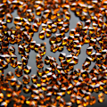 Miniatyrbillede 2 af 2: Krystalsten (Glas) - 1 mm - 200-300 stk - 05 Gold