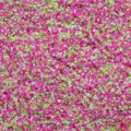Pikkukuva 2 / 4: Vaikutusjauhe - Sokeri - Candy Dream - 10 Multicolor