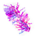 Miniatyrbild 1 av 5: Holografiskt nagelfolie för nageldekorationer - 09 multifärg