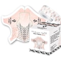 Miniatyrbild 1 av 4: Nagelmallar - 400 st Basic - Victoria Vynn Rosa