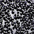 Miniatyrbillede 2 af 2: Krystalsten (Glas) - 1 mm - 200-300 stk - 23 Black