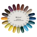 Miniatyrbillede 6 af 10: Base One Solid 12-pak - 5 gram - Silcare Multicolor