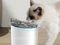 Miniatyrbillede 4 af 8: Fontæne til kat/hund - Automatisk vandskål med filter 2 L