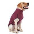Miniatyrbillede 1 af 6: Hjem hund høj krave sweater bomuld polstret tøj kæledyr tøj