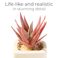 Miniatyrbillede 3 af 5: Mini potteplanter kunstige sukkulenter hjemmekontor dekoration