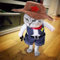 Pikkukuva 2 / 5: Hauska cowboy-takkiasu - Super söpöjä asuja pienille koirille &