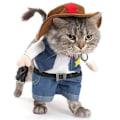 Miniatyrbilde 1 av 5: Kostyme for kjæledyrhund og katt, jeanshettegenser, Halloween-kostyme