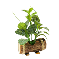Pikkukuva 1 / 5: Luovat puiset ruukut ja vihreät bonsai-talon koristeet