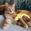Miniatyrbild 5 av 6: 3 st kattmynta komprimerade kattmyntaboll leksak med fjäder kattunge tugga