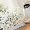 Miniatyrbillede 3 af 6: 10 stk. Babys Breath Kunstige Falske Blomsterbuket Gypsophila