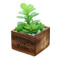 Miniatyrbild 1 av 5: Konstgjord växt kreativ dekoration blomma bonsai，Fyrkantig