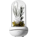 Miniatyrbilde 1 av 7: Bevart duft, bærbar lampe, oppladbar, USB-aroma