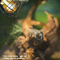 Miniatyrbillede 4 af 5: Reptil Varmelampe Dækning, Reptil Varmelampe Skærm - Tråd Reptil Varmelegeme Beskyttelse, Anti-skoldnings Lampe Netdækning til Terrarium