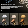 Miniatyrbilde 3 av 5: USB Oppladbar Bordlampe, LED Nattbordslampe, Leselampe, med Dimbar Berøringskontroll, 3 Lysfarger, DEBUNS