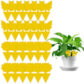 Miniatyrbild 1 av 5: IC 20-pack flugfällor - vackra blommor