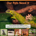 Miniatyrbillede 4 af 4: Pakke med 100W Reptil Terrarium Varme Pærer Keramiske Varmelegemer Intet Lys E27 Sort Keramisk Varmelampe til Reptiler Firben Skildpadder Slanger Kylling Hund