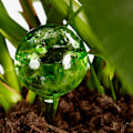 Miniatyrbillede 2 af 5: 10 x Vandingskugler i sæt, doseret vanding af planter og blomster, vandingshjælp til kontoret, ferie, Ø 6 cm, glas, grøn