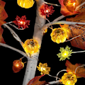 Miniatyrbild 5 av 9: LED-koppartrådsljus för skördefest 3D pumpa ekollon lönnlöv ljusslinga MJ51 Tacksägelsekoppartrådsljus 3D Acorn 5m 50 lights always on USB model