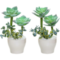 Miniatyrbillede 1 af 3: IC 2 stk. simuleringssukkulenter bonsai kunstige sukkulenter i potteplanter