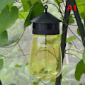 Miniatyrbilde 1 av 5: IC 1 ST Vepsfelle Fruktfluer Insekt Bugg Hengende Honningfelle C A1
