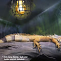 Miniatyrbillede 3 af 5: Reptil Varmelampe Dækning, Reptil Varmelampe Skærm - Tråd Reptil Varmelegeme Beskyttelse, Anti-skoldnings Lampe Netdækning til Terrarium