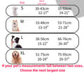 Hundesele Medium (S) - 2 Koppelkrokar, Reflexband - Hals 30-43cm, Bröst 35-53cm - Svart