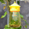 Miniatyrbild 4 av 5: IC Fälla Fruktställning Melon Frukt Insekter Fruktfluga Bi Armyworm Kl Gul