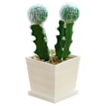 Miniatyrbillede 1 af 3: IC Simulering af tropiske planter, bonsai kaktus, indendørs kreativ