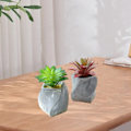 Miniatyrbillede 3 af 3: IC 2 stk. simuleringssukkulenter kreativ dekoration falsk blomsterpotte