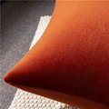 Miniatyrbilde 5 av 5: IC Putevar 24x24 Brennt Oransje: 2-pakning Koselig myk fløyelsaktig firkantet putevar for bondegårdinnredning, IFENG