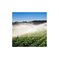 Miniatyrbillede 2 af 5: 20 stk. G Type 360 Graders Roterende Mikro Sprinkler Vandingssprinkler