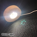 Miniatyrbilde 1 av 7: Trestøttet LED-lysdisplaybase i krystallglassharpikskunst White Light