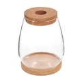1 Set Växtterrarium Hydroponisk Växtkruka DIY Landskapsflaska Skrivbordsväxthållare
