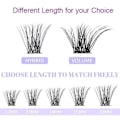 Miniatyrbild 3 av 3: Individuella lösögonfransar - Set natural look volume lash - Cloud Svart