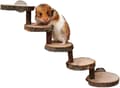 Hamster Tuggleksaker Träleksak, Hamsterstege, Hamster Klätterleksak