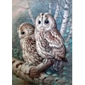 Miniatyrbild 1 av 5: Måla efter siffror för vuxna, Diamond painting Uggla Diamantmålning
