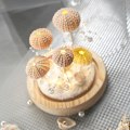 Miniatyrbild 3 av 6: Konserverade lampor för sovrum, present till kvinnor, flickor