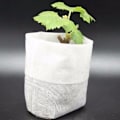 Miniatyrbild 1 av 5: 100-Pack - Tomma Fröpåsar / Påsar för Fröplantor - Planta Vit