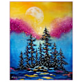 Miniatyrbillede 1 af 5: Diamantmaleri Firkantede perler 50x70 cm 5D DIY Night Moon Multicolor
