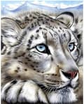 Diamond Painting / Diamantmålning 30x40cm - Vit Tiger Djur multifärg